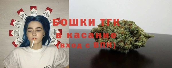 молекула духа Алзамай