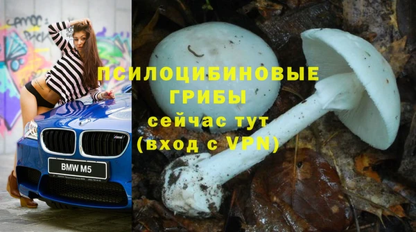 молекула духа Алзамай