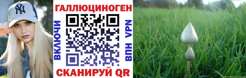 где можно купить наркотик blacksprut Галлюциногенные грибы Cubensis Апшеронск